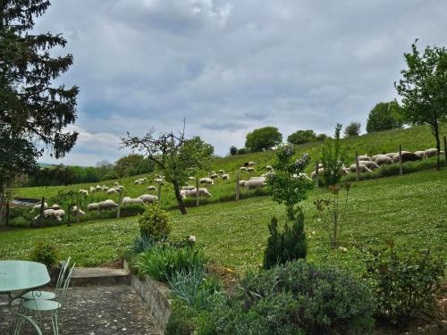 View, Le Cotier in Brunelles