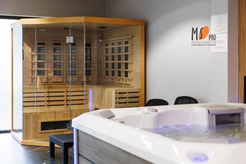 MS Pro Apartamenty Premium Belle View z mini Spa, Szklarska Poręba (foto 8)