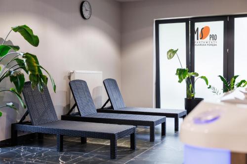 MS Pro Apartamenty Premium Belle View z mini Spa, Szklarska Poręba (foto 9)