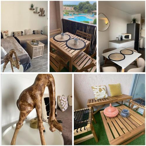 L'ecrin balinais T2 piscine climatisation - Location saisonnière - Balaruc-les-Bains