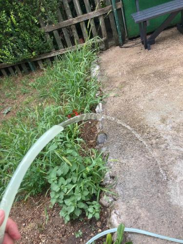 Garden, Milica in Niksic