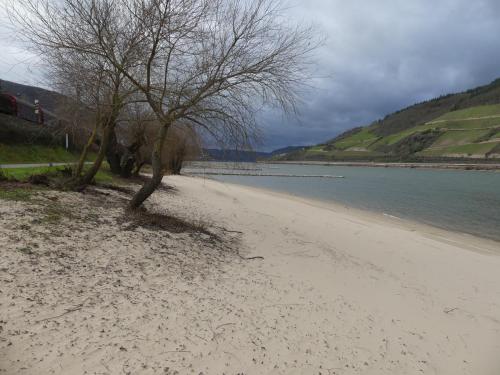 Strand, ChristRose in Trechtingshausen