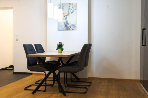 Wunderschönes Apartment im Zentrum von Wels (Wunderschones Apartment im Zentrum von Wels) in Wels