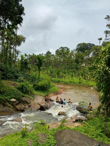 Nature Spot Cottages Coorg in Kutta