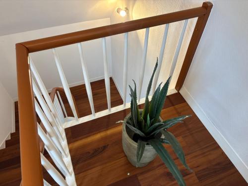 Apartment Nᵒ 1 in Dettingen an der Erms