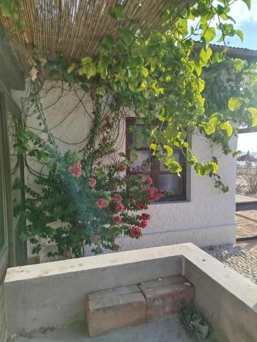 . Villa meuble a louer Anakao