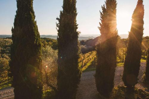 Book the Triple Room Triple Room