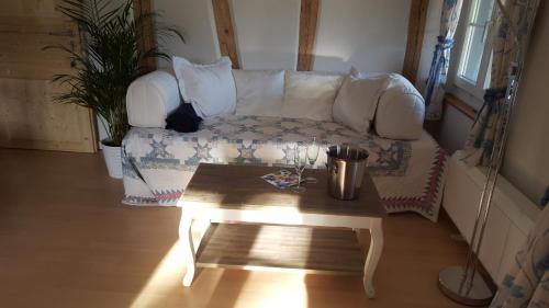 共用Lounge/電視區, Airport Zürich Elwiras B & B (Airport Zurich Elwiras B & B) in 比拉赫