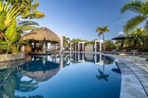 Swimming pool, Delfins Beach Resort Bonaire, Tapestry Collection by Hilton in Kralendijk