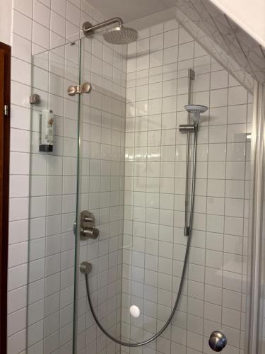 Zuhanyzó, Apartment Nᵒ 1 in Dettingen an der Erms