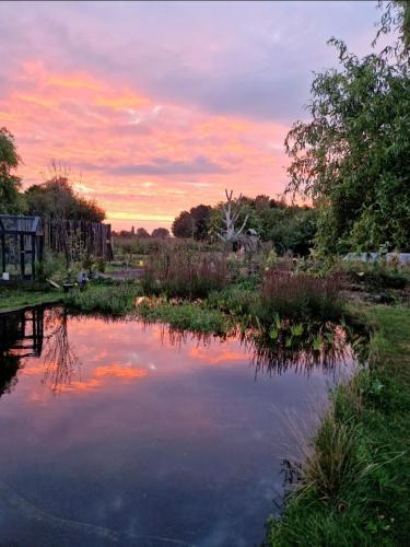  Vakantiehuisje Buuf in de Brabantse natuur in Schijndel