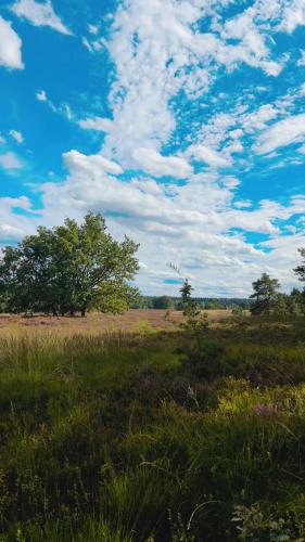 สภาพแวดล้อมโดยรอบ, Nordheideblockhaus in ฮันชเต็ดท์