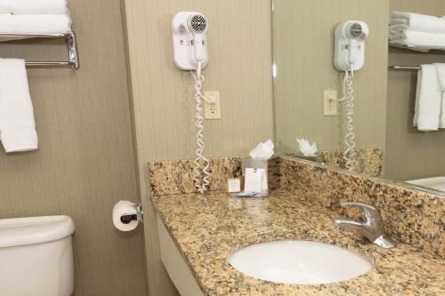 D. Hotel Suites & Spa - image 6