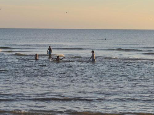 Apartment Werna - 800m from the sea by Interhome in Hvide Sande