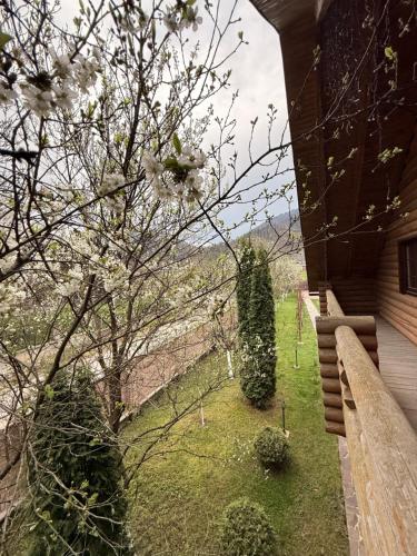 Еко-садиба in 米茲希利亞