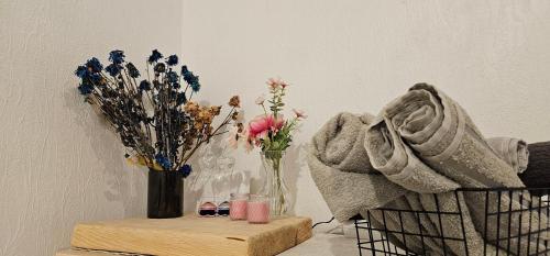 One room apartment near Xiaomi Arena, Riga (fotografie 8)