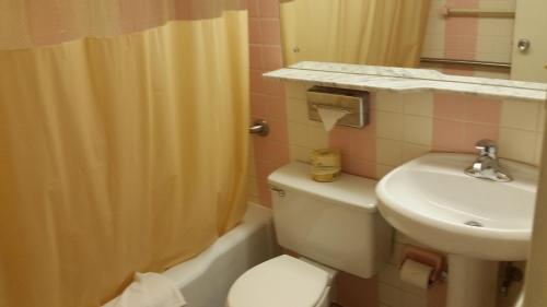 Huntingdon Motor Inn - 화장실