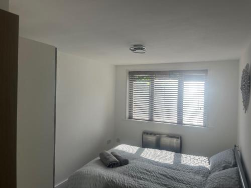 Ashbourne Retreat in Manchester, Manchester (fotografie 8)