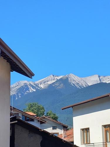 Guest house Skabrin - image 3