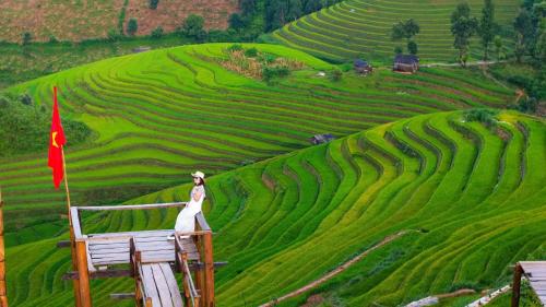 HOA SƠN TRA HOTEL in Mu Cang Chai