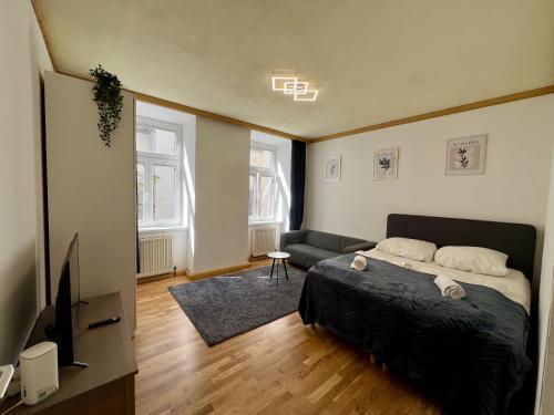 Big Space Apartment
