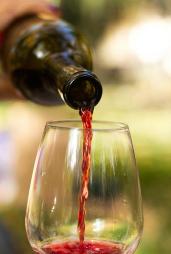 Évasion à Rully grande maison avec piscine privée (Evasion a Rully grande maison avec piscine privee) in Chagny