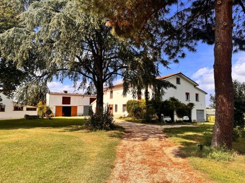 外部景觀, B&B Orto di Borghi in 法恩扎