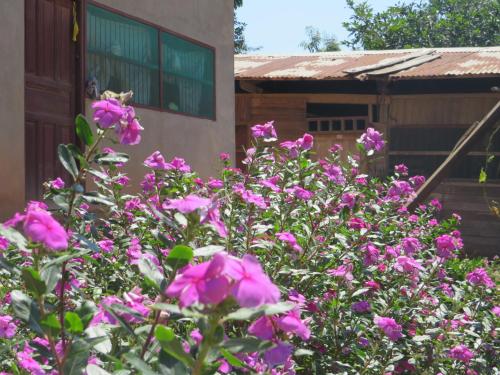 Casa de Alfonso y Bertha in Rurrenabaque (El Beni)