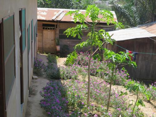 Casa de Alfonso y Bertha in Rurrenabaque (El Beni)