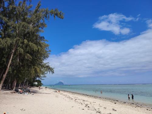 BoTree Abode, Flic-en-Flac (photo 9)