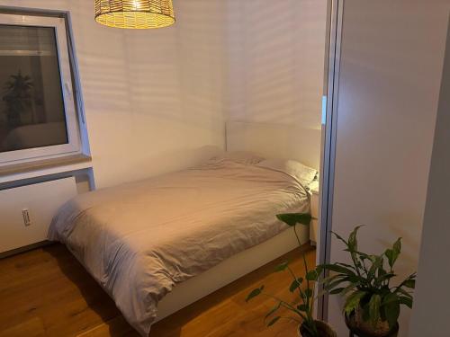 Gemütliche 3 Zimmer Wohnung Nähe Oktoberfest, Mnichov (fotografie 4)
