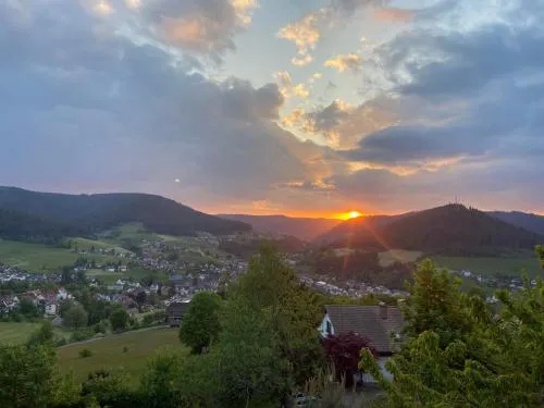 7-Täler-Blick - mit Holzofen und Garten - naturnah in Baiersbronn, Deutschland