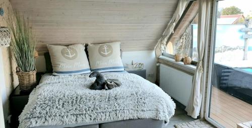 Studio with large roof terrace, Herbsleben (foto 7)