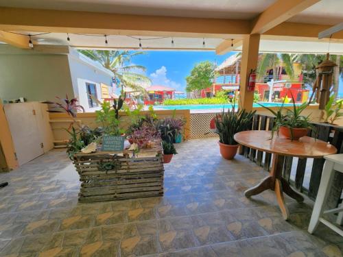 Beach Club Condos at Popeyes in Caye Caulker