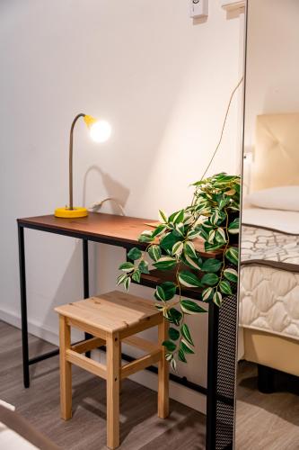 Florencehostels Anamaria - image 13