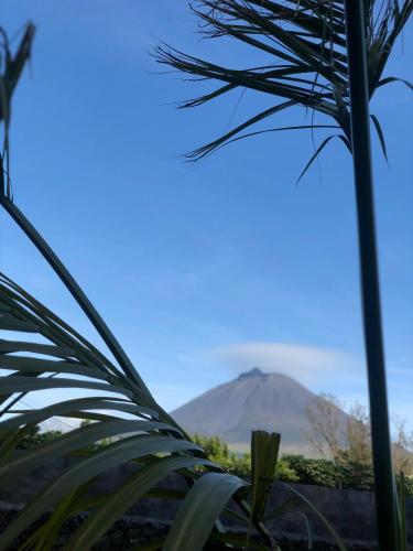 Ferreiro do Cabeço House (Ferreiro do Cabeco House) in บันเดรัส