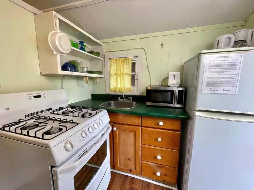 Ambleside - 1-Bedroom Cottage #3, Kawartha Lakes (zdjęcie 6)