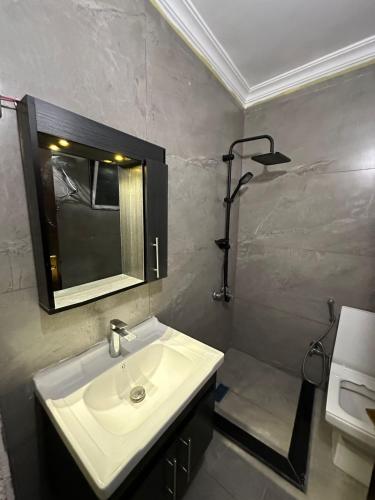 Super deluxe apartment in 이르비드