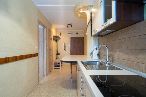 APARTAMENT NAD KAMIEŃCZYKIEM IV, Szklarska Poręba (foto 10)