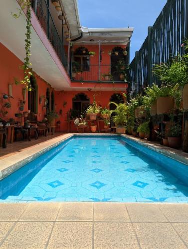 bazen, Boutique Hotel Maharaja in Grenada