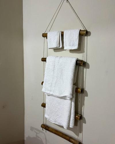 Fern Forest Eco Village in Ocho Rios