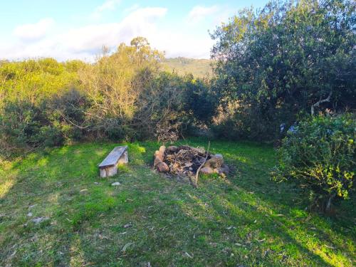 Odisea in Villa Serrana