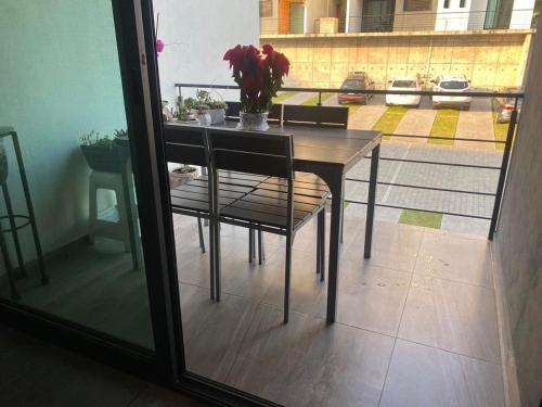 La PRIMAVERA APARTMENT IN CUERNAVACA in Adolfo Lopez Mateos