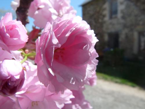 Gîte des Gabelous gîte à louer Lohéac