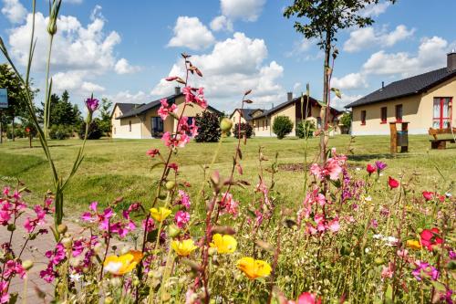 Accommodation in Markkleeberg