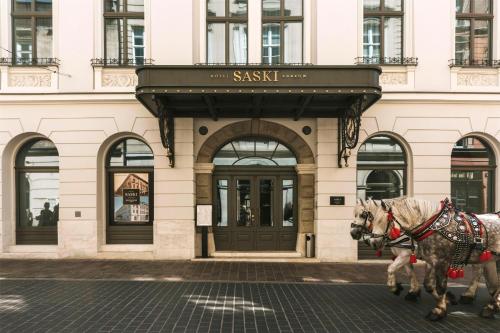 Hotel Saski Krakow Curio Collection by Hilton, Cracovia (foto 8)