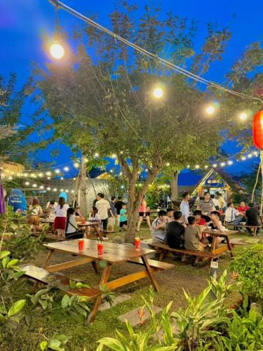 Cafe cắm trại Đồng Gió Phước Hải