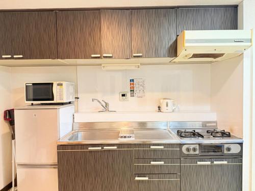 F-Shinkoiwa ColorBee Hostel5 4min to nearest station, Tokio (fotografie 10)