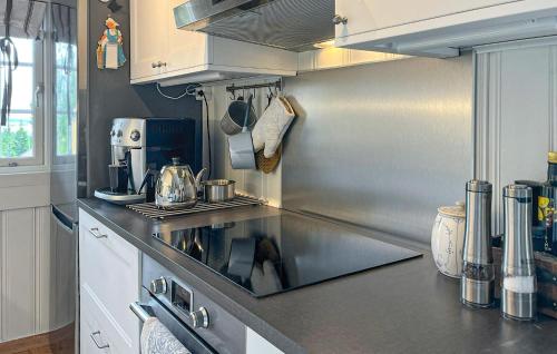 مطبخ, Beautiful Home In Sjusjøen With Wifi in Sjusjoen