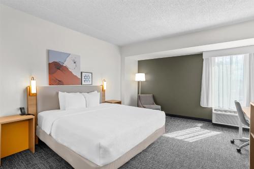 Comfort Inn Convention Center-Chicago O’hare Airport - image 9